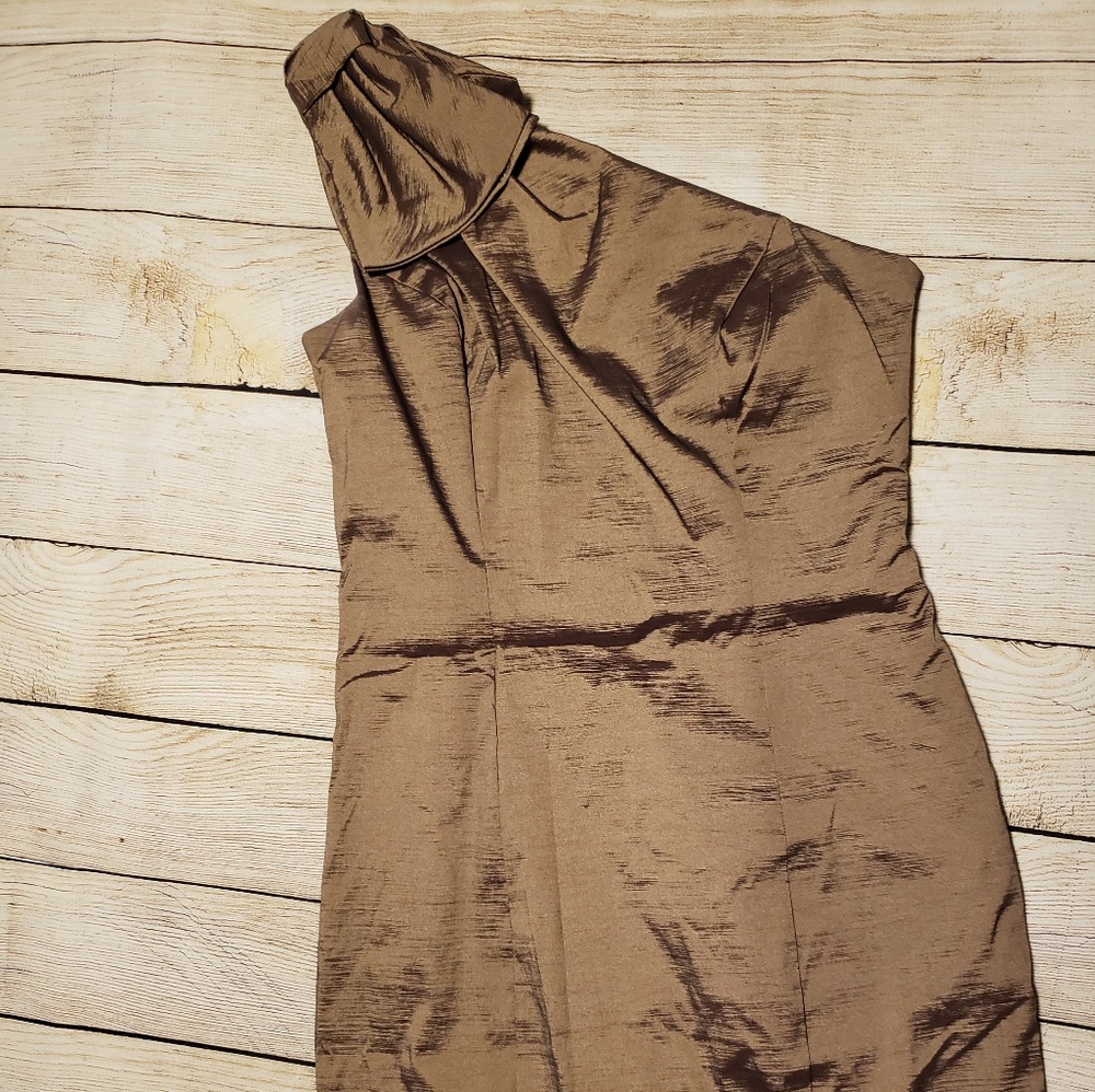 Brown fit to body dress